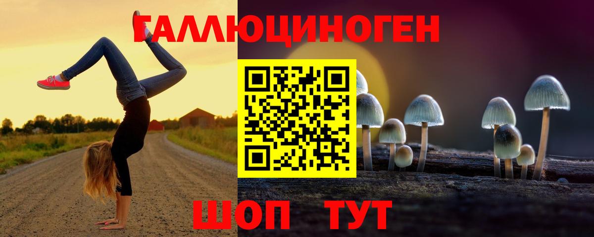 Щёлково  Галлюциногенные грибы ЛСД  Вход с VPN 